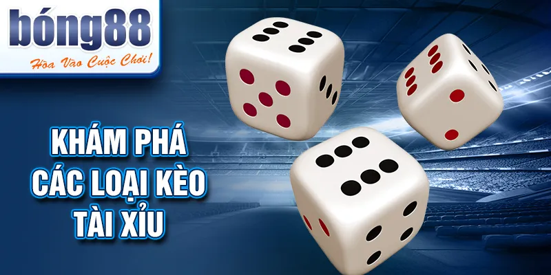 Khám phá các loại kèo tài xỉu